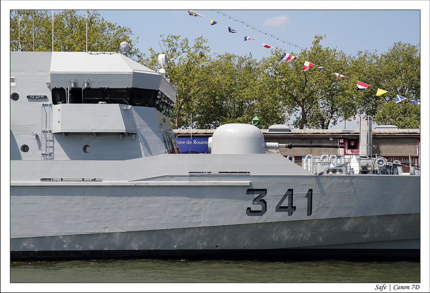 2013 - 06 - Armada Rouen 059